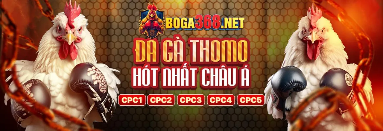 Mẹo và chiến lược cá cược hiệu quả tại soi keo bong88